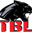 www.tblsecurity.co.za logo